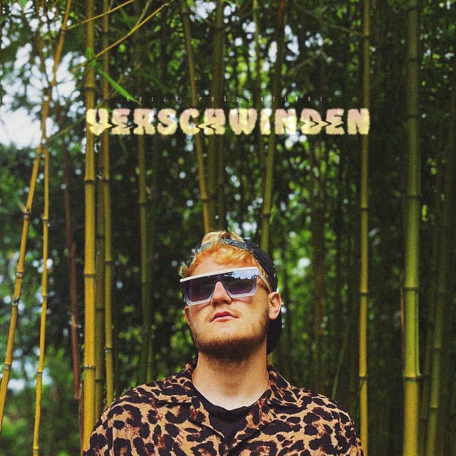 Album cover art for Verschwinden