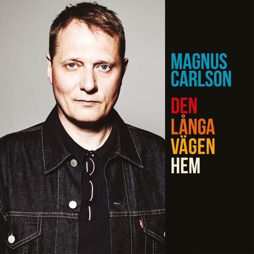 Album cover art for Den långa vägen hem