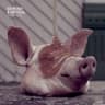 Stompbox [Spor Remix]