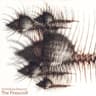 Shadow Man (EP)