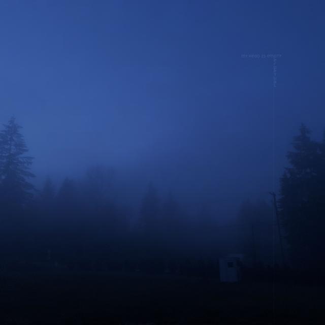 Album cover art for perpetual