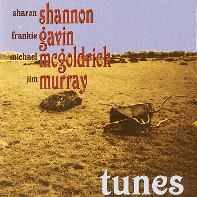 Album cover art for Tunes