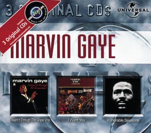 Album cover art for I Heard It Through the Grapevine / I Want You / Vulnerable Sessions