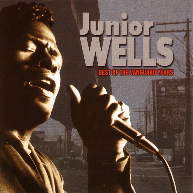 Album cover art for Best of the Vanguard Years