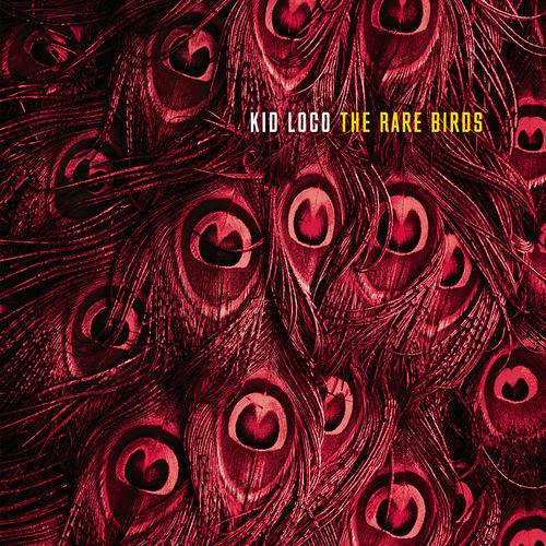 Album cover art for The Rare Birds
