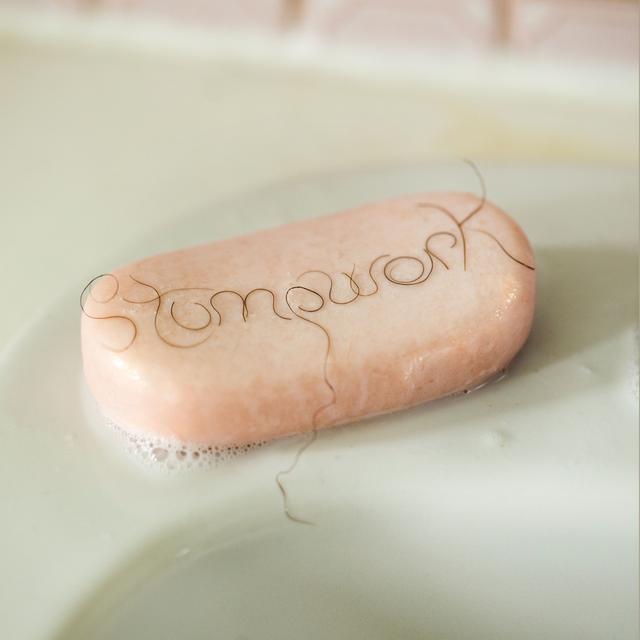 Album cover art for Stumpwork