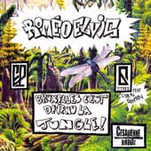 Album cover art for Bruxelles C'est Devenu La Jungle