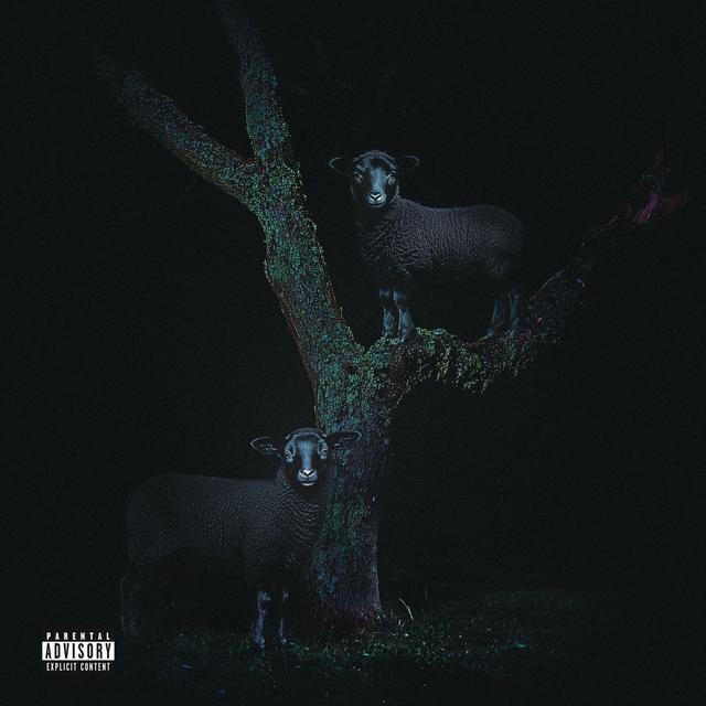 Album cover art for Pipe Down !