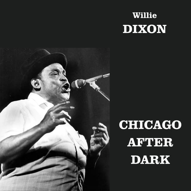 Album cover art for Chicago After Dark
