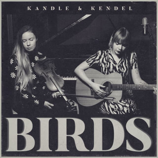 Album cover art for Birds