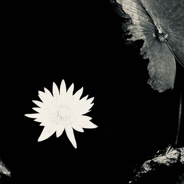Album cover art for Наоборот