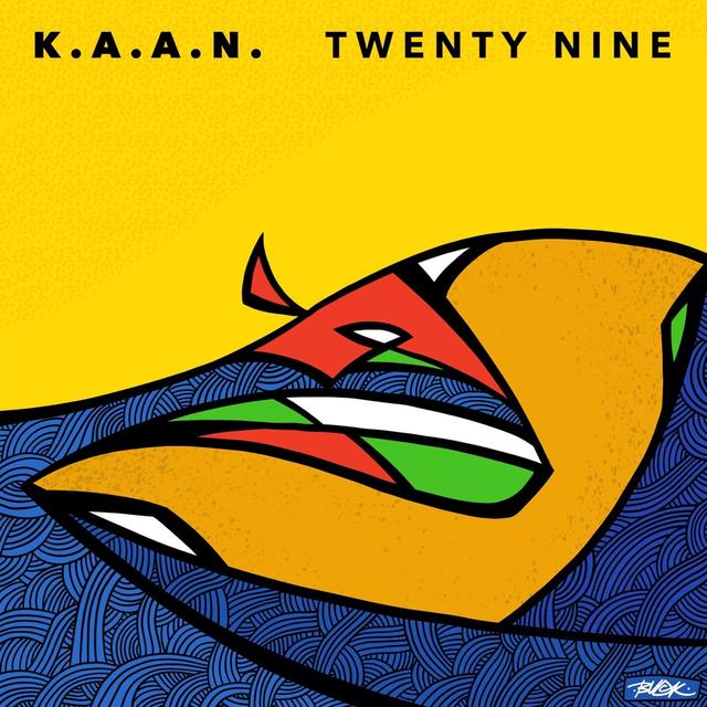 Album cover art for Twenty Nine
