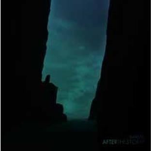 Album cover art for After The Storm