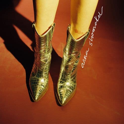 Album cover art for Silver Cowboy Boots