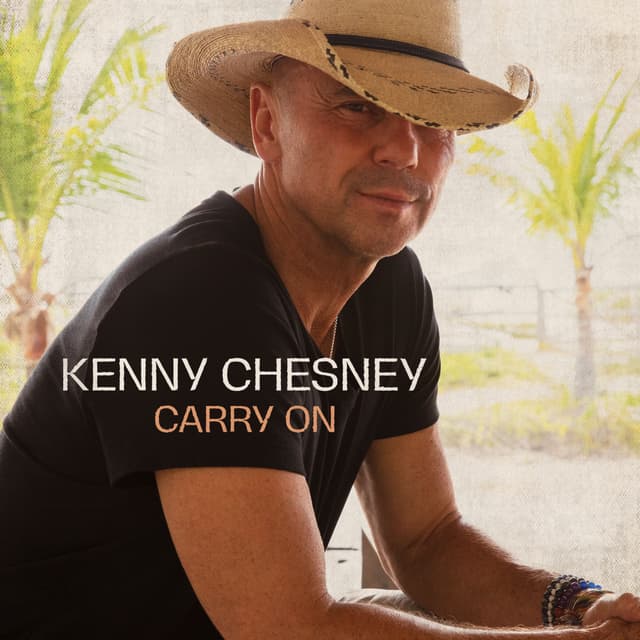 Album cover art for Carry On