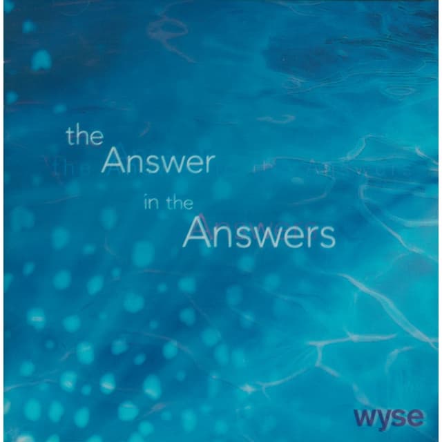Album cover art for The Answer In The Answers