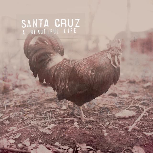 Album cover art for A Beautiful Life