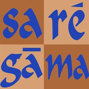 Album cover art for Saaf Sunai Deti Hai