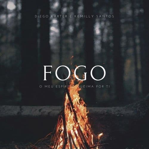 Album cover art for Fogo