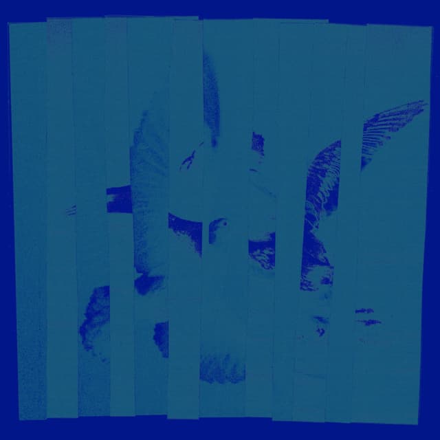 Album cover art for House Creature