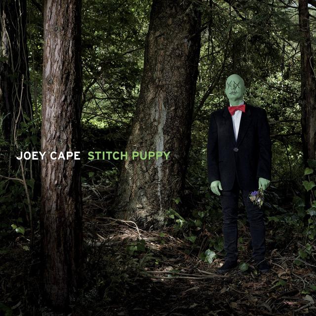 Album cover art for Stitch Puppy