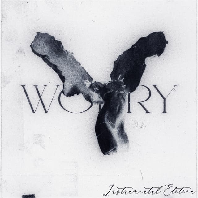 Album cover art for worry