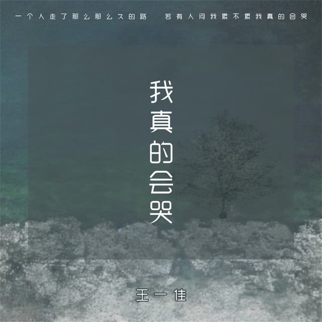 Album cover art for 我真的会哭