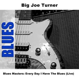 Album cover art for Blues Masters : Every Day I Have the Blues