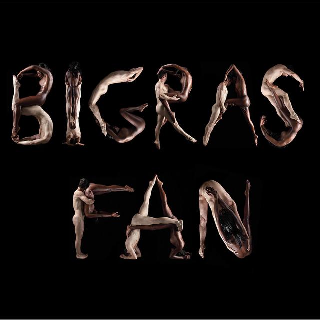 Album cover art for Fan