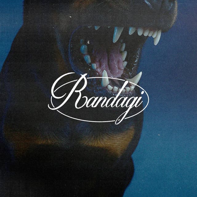 Album cover art for RANDAGI