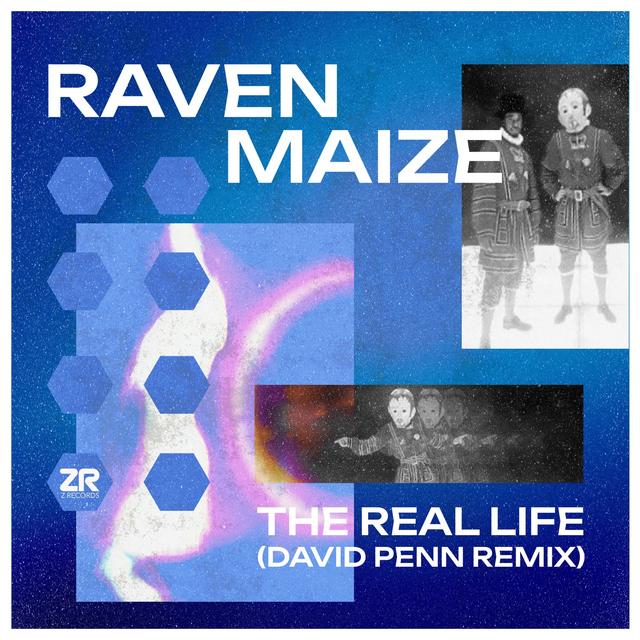 Album cover art for The Real Life (David Penn Remix)