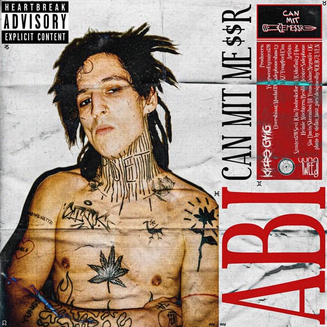 Album cover art for Abi Albüm