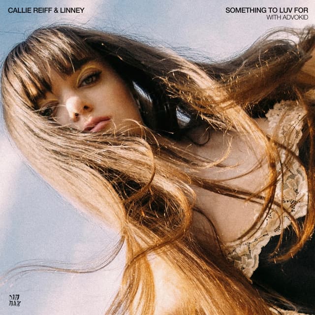 Album cover art for Something to Luv For