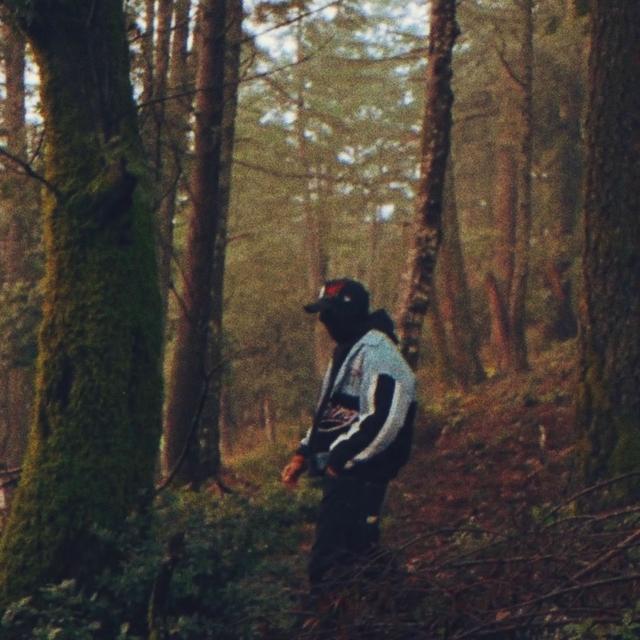 Album cover art for Haseen