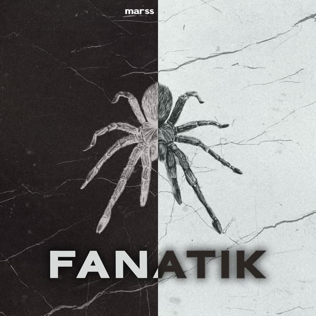 Album cover art for Fanati̇k