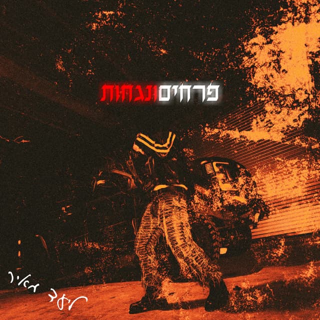 Album cover art for פרחים ונגחות