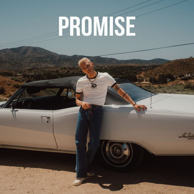 Album cover art for Promise