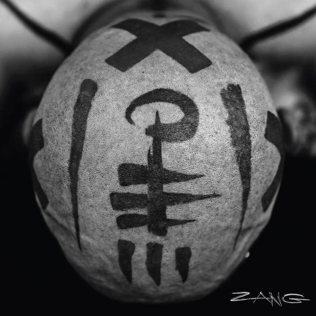 Album cover art for Zang