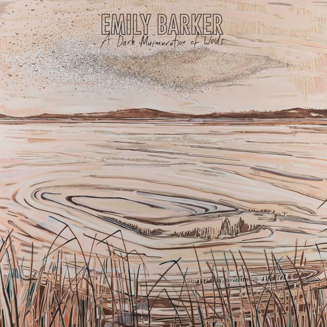 Album cover art for A Dark Murmuration of Words