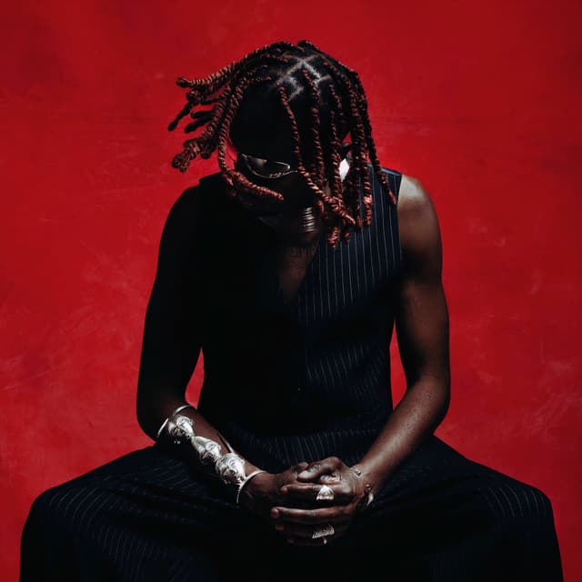 Album cover art for HOUSE OF BIRDS