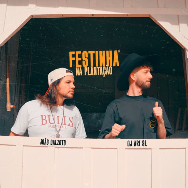 Album cover art for Festinha na Plantação