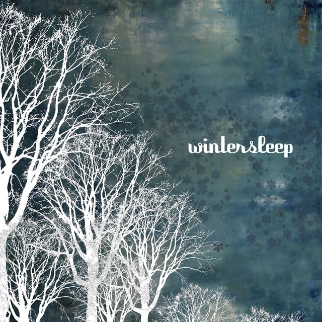 Album cover art for Wintersleep