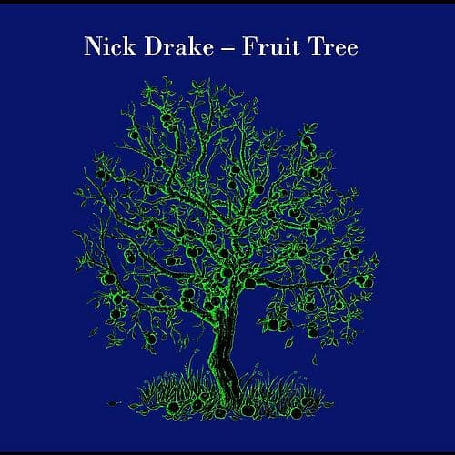 Album cover art for Fruit Tree