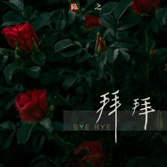 Album cover art for 拜拜