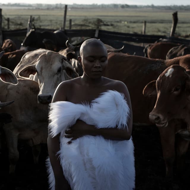 Album cover art for INGANEKWANE