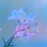 사랑 없이 사는게 왜 그렇게 어려울까요 Loved, hoped, lost (Loved, hoped, lost)