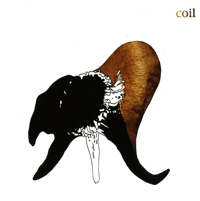Album cover art for Black Antlers