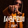 Wapen