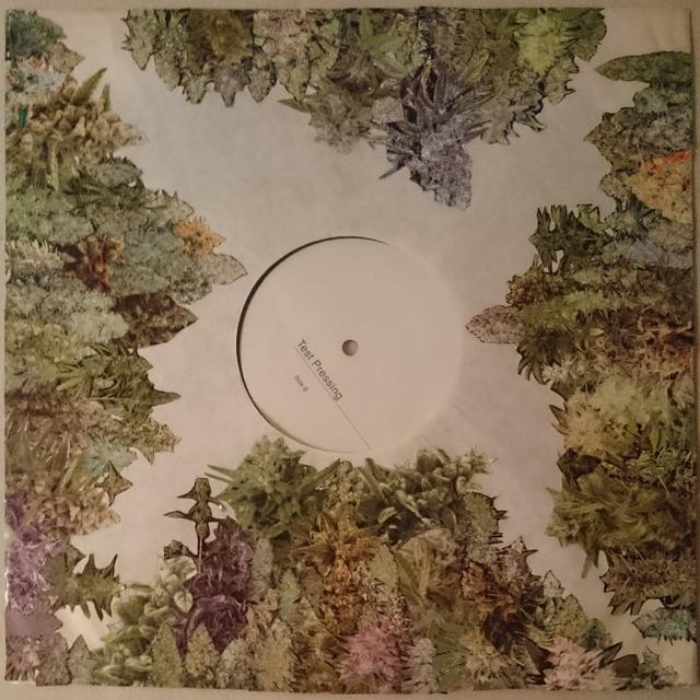 Album cover art for Crop Season