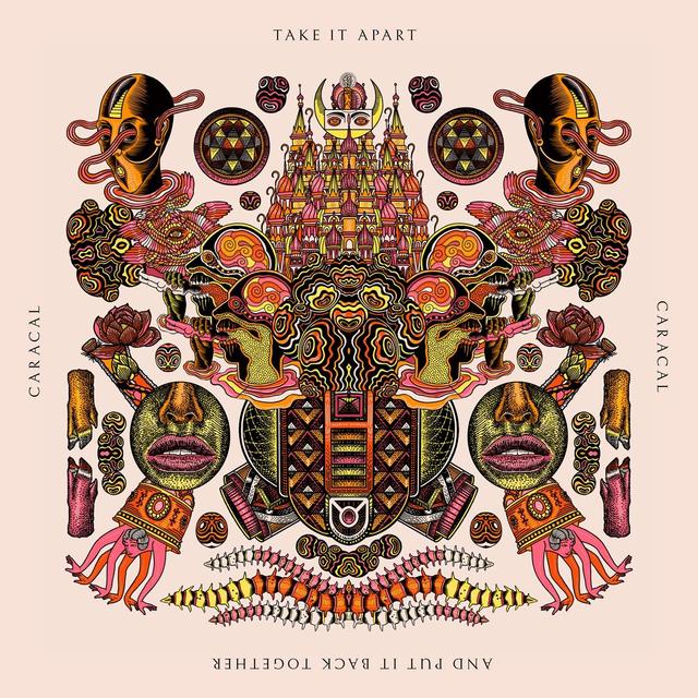 Album cover art for Take It Apart and Put It Back Together